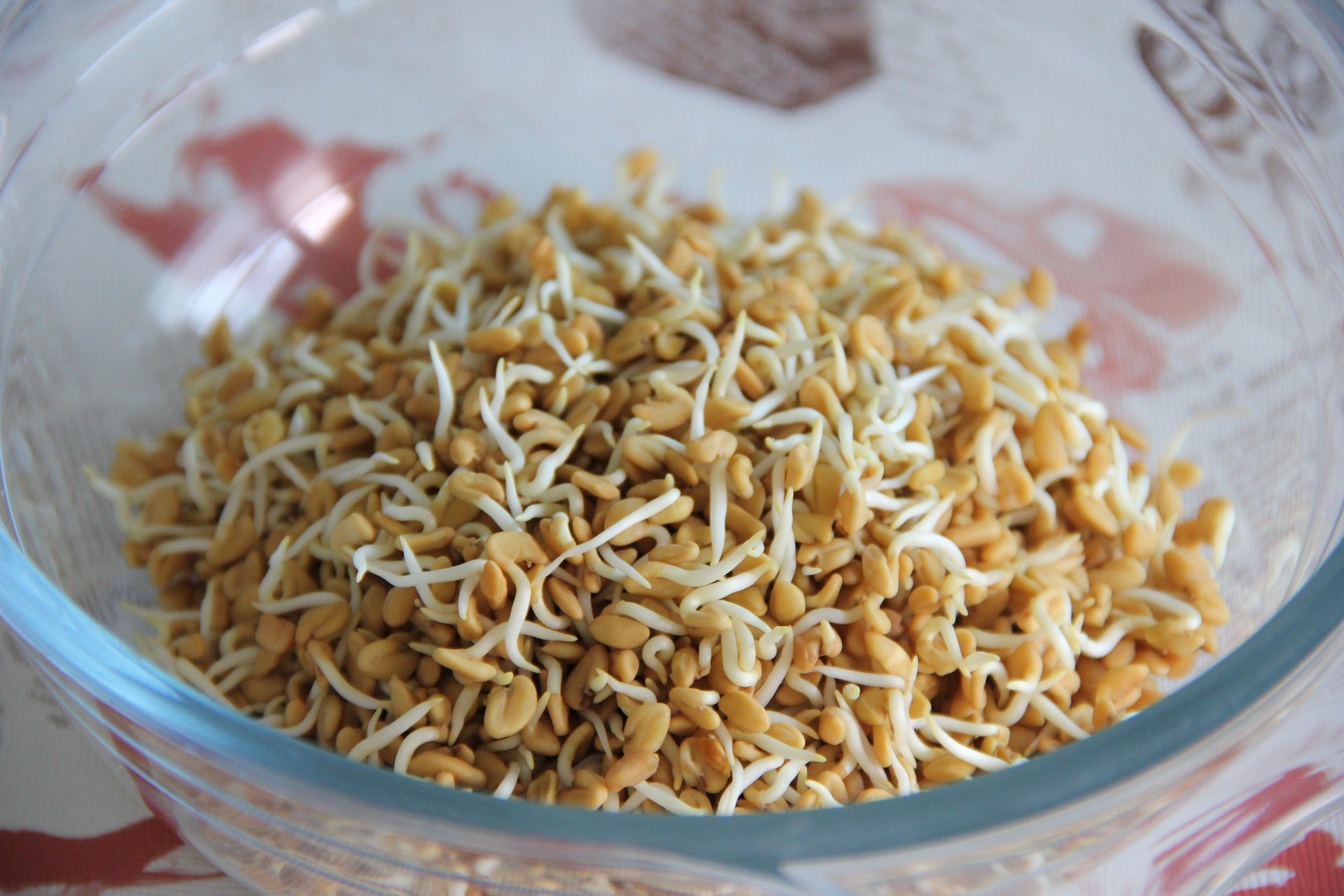 Fenugreek Benefits for Hair: A Comprehensive Guide